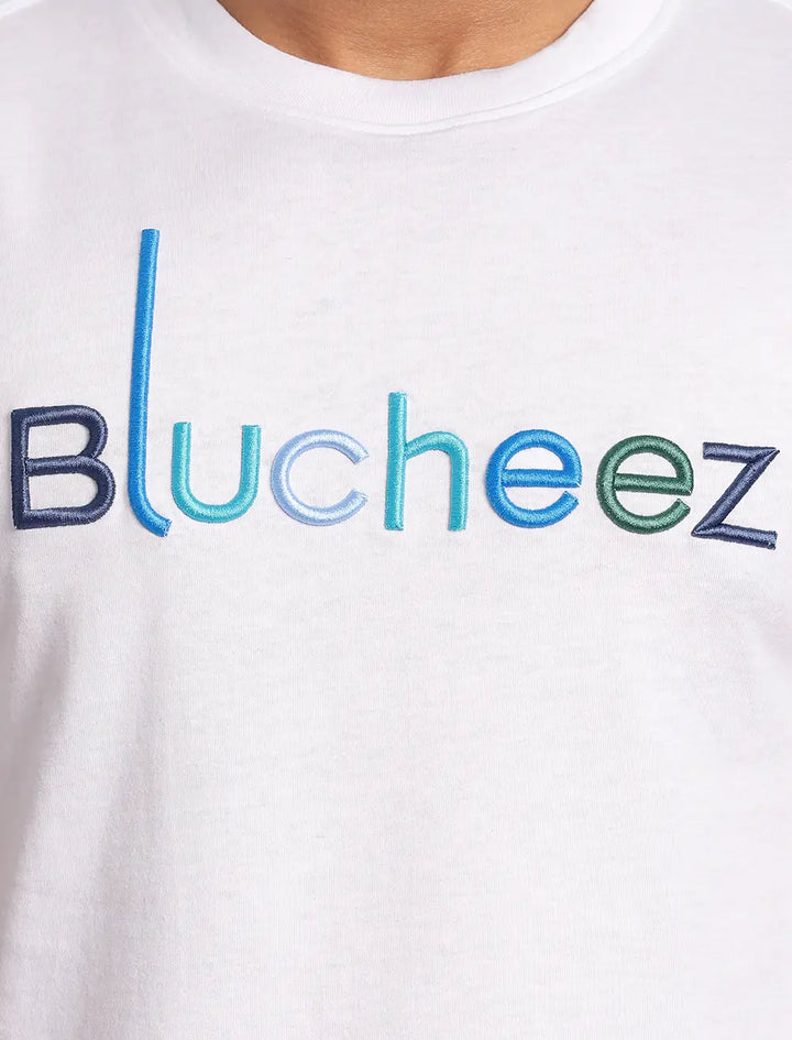 Multicolor Embroidery Tee - Blucheez