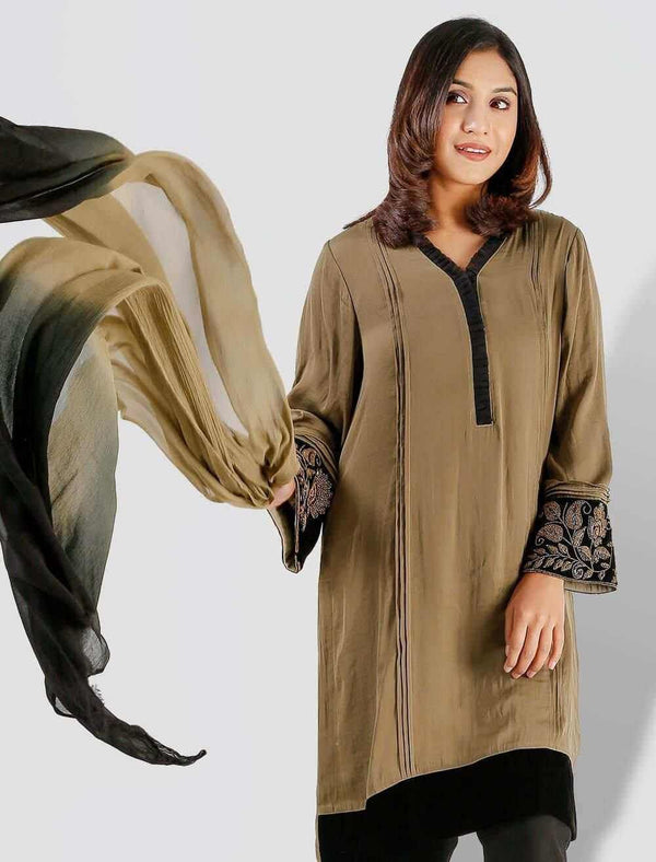 Regular Fit Zardozi Kameez - Blucheez